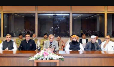 পাকিস্তানে নতুন সংকট, পিপিপি সম্ভবত যাচ্ছে না মন্ত্রিসভায়